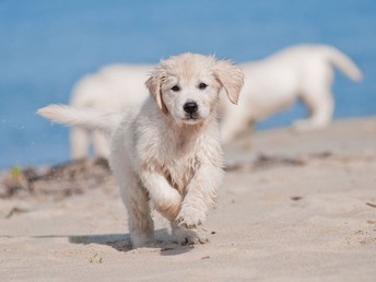 Entspannte Tage an der Ostsee