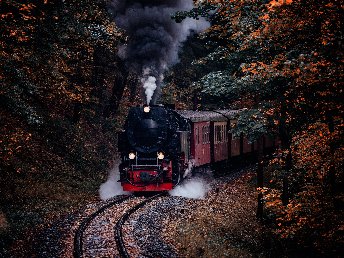 Kleine Schloss-Entdeckertour in Wernigerode