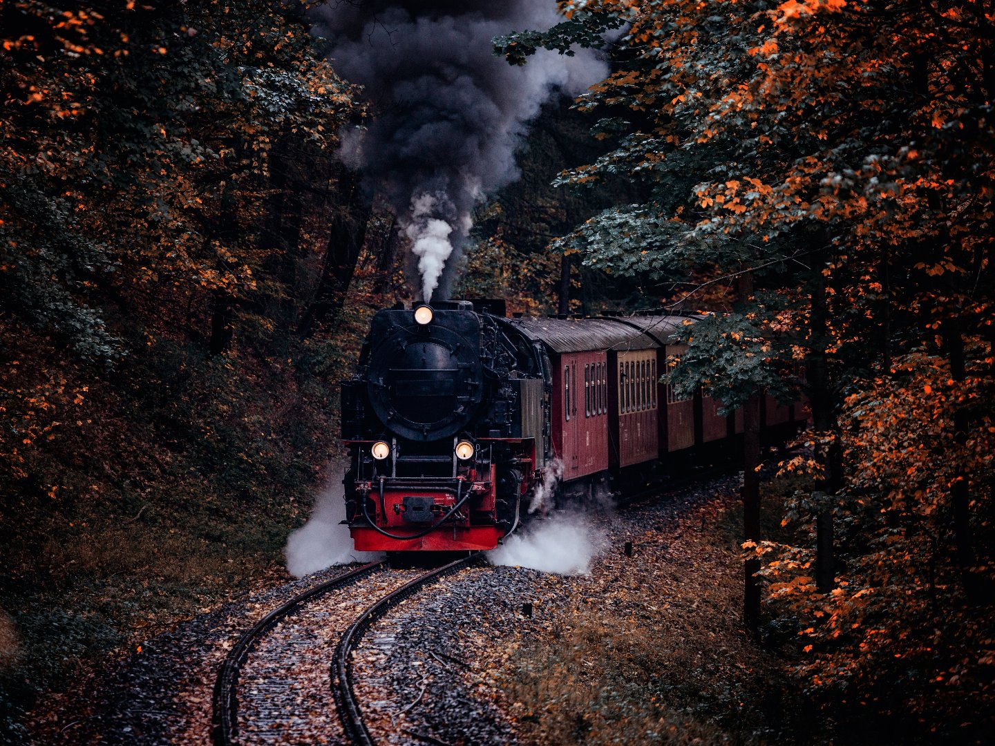 Kleine Schloss-Entdeckertour in Wernigerode