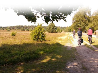 Heide-Kurzurlaub inkl. Jod-Sole-Therme 