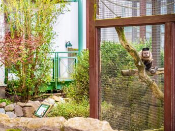 Familienspaß im Usedomer Tropenhaus I 3 Tage