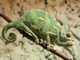 MÄDELS Trip 4 Tage I Wellness & Party auf Usedom