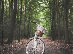 MÄDELS Trip 4 Tage I Wellness & Party auf Usedom