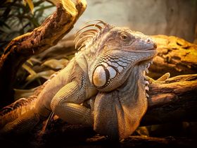 MÄDELS Trip 4 Tage I Wellness & Party auf Usedom