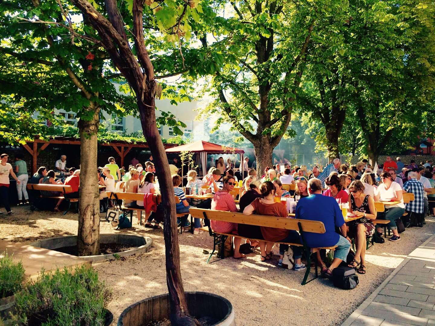 Die Bergstraße entdecken inkl. 3-Gang-Menü 3 Tage