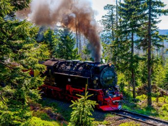 Wander-Erlebnis im Harz - 3 Tage am Fuße des Brockens in Schierke 
