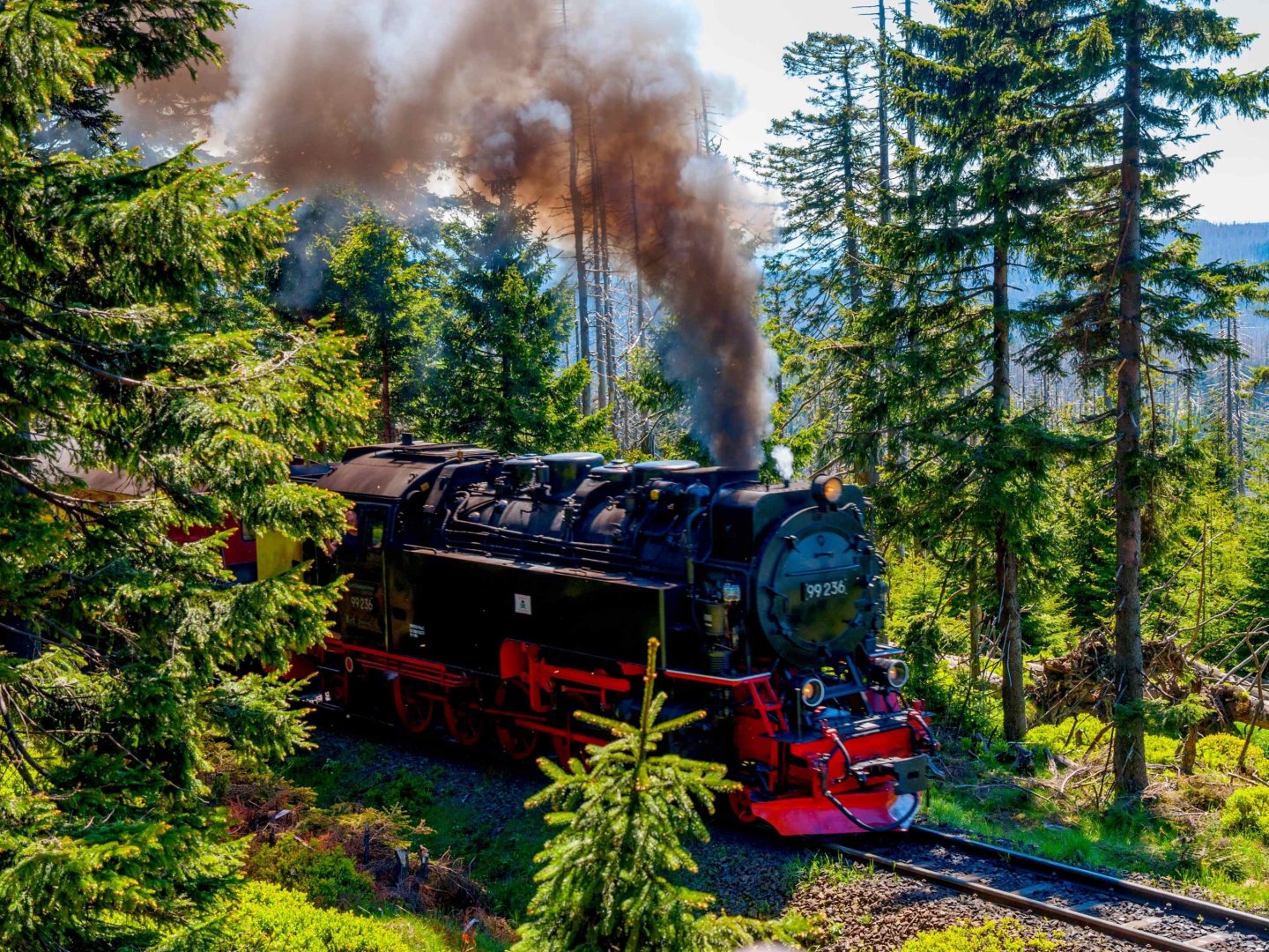 Wander-Erlebnis im Harz - 3 Tage am Fuße des Brockens in Schierke 