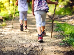 Erlebnisreiche Entdeckertage im Harz mit der HarzCard