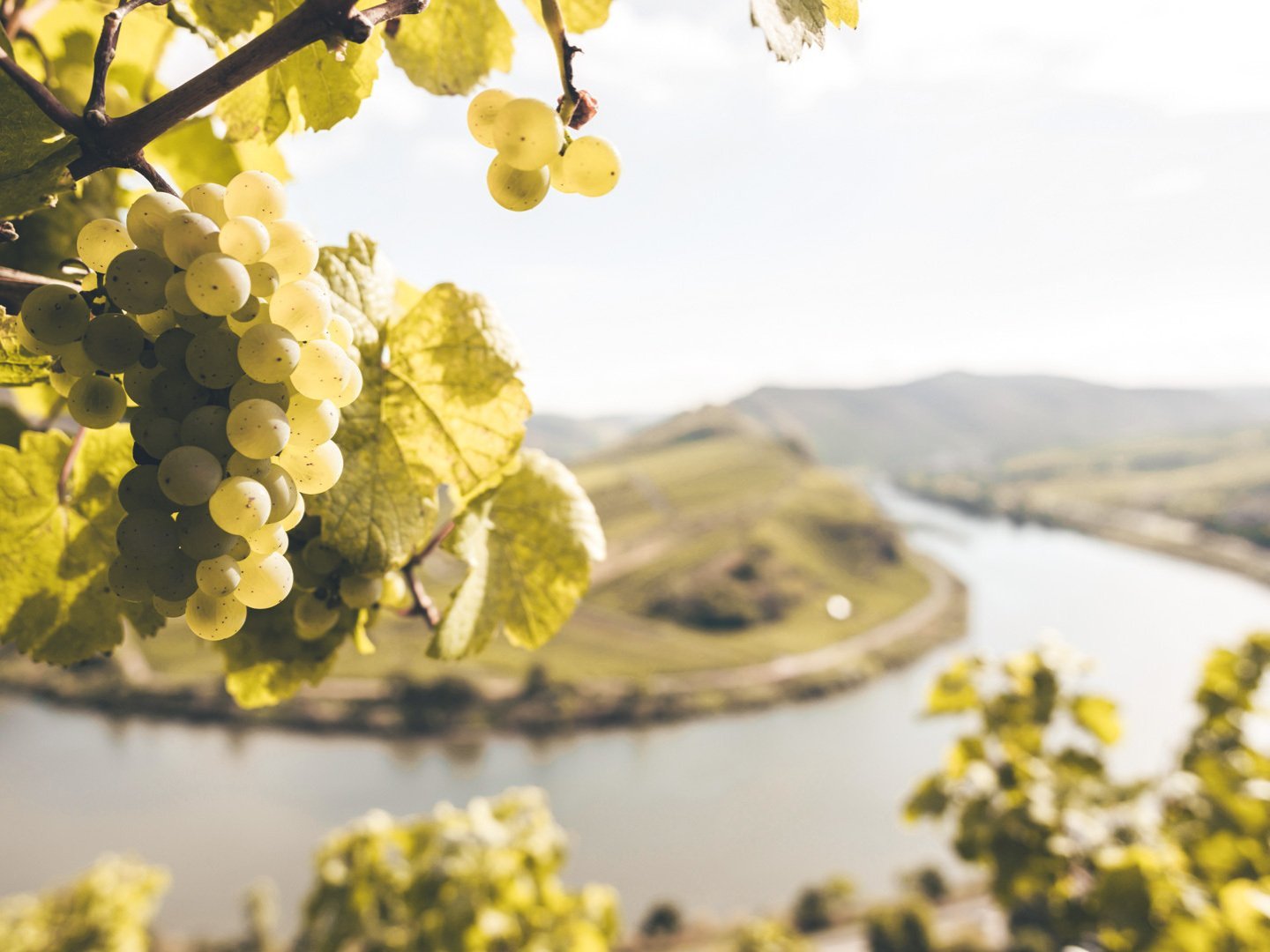 (Aus)Zeit zu Zweit an der Mosel