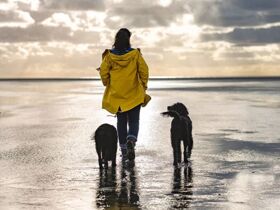 5 Tage Entspannung Pur in St. Peter-Ording an der Nordseeküste