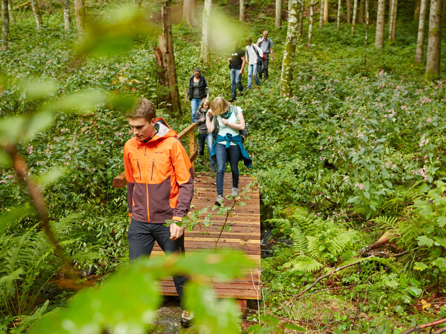 Kurzurlaub Posthorn im Schwarzwald - Blackforestline Hängebrücke