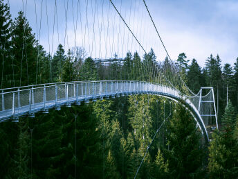 Kurzurlaub Posthorn im Schwarzwald - Blackforestline Hängebrücke