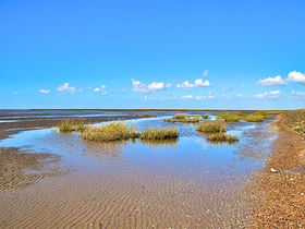 2 Tage...Liebe liegt in der Nordseeluft