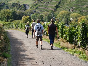 Einfach mal raus - 3 Tage an der Mosel im Herbst