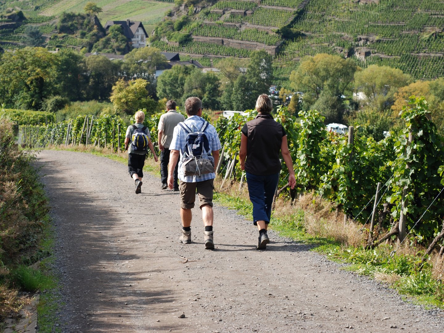 Einfach mal raus - 3 Tage an der Mosel im Herbst