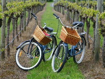 Einfach mal raus - 3 Tage an der Mosel im Herbst