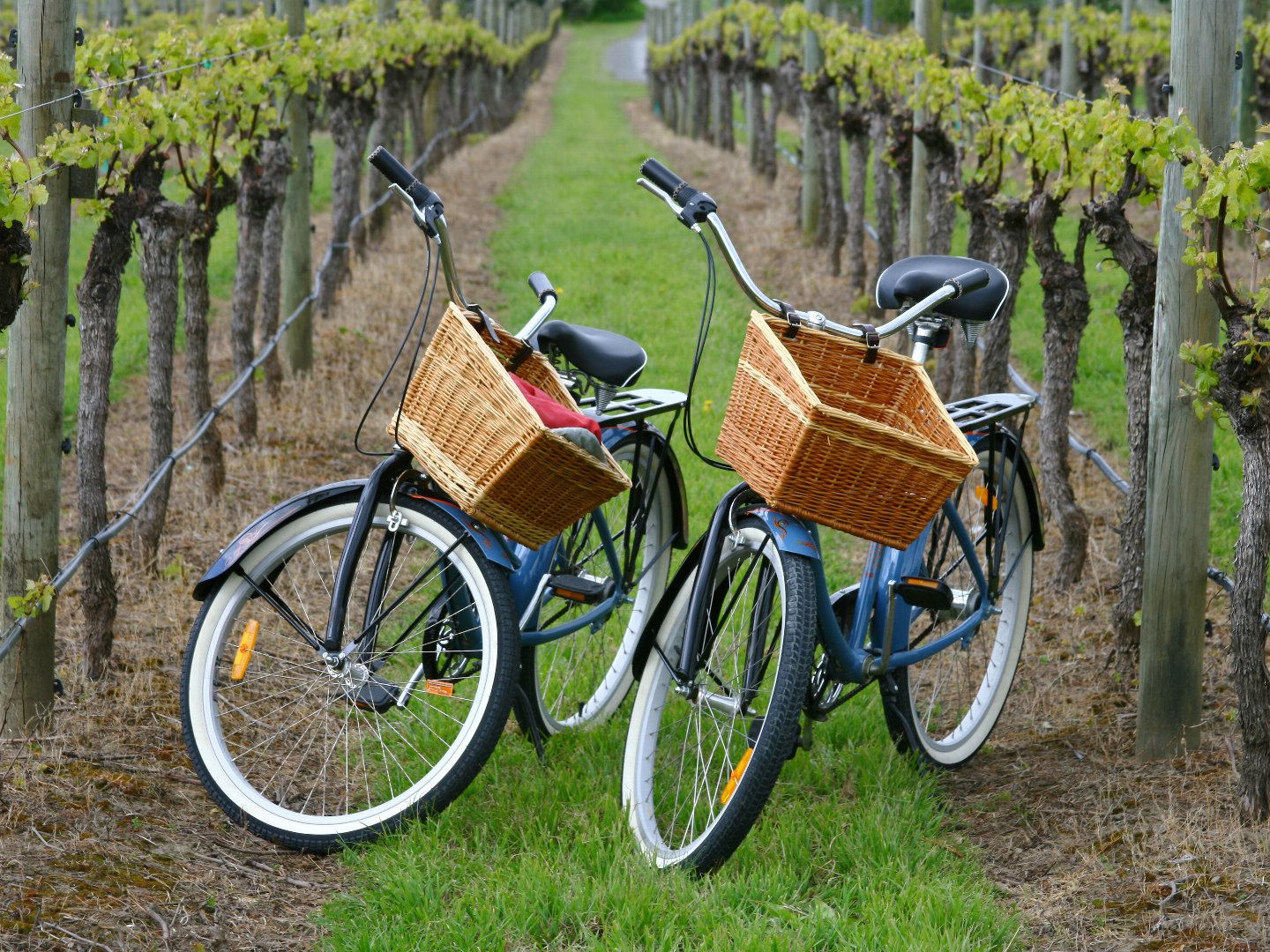 Einfach mal raus - 3 Tage an der Mosel im Herbst