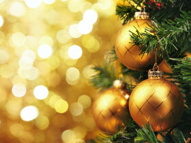 Autostadt Wintermarkt in Wolfsburg - 2 Tage