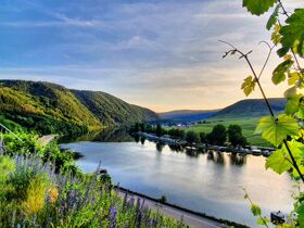 Kleine Auszeit bei Cochem an der MOSEL | 4 Tage