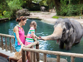 Designhotel & Zoo Leipzig: Babyelefant, Affen und Co. | 4 Tage