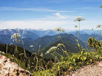 Das Tegernseer Land entdecken