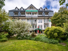 Weihnachtliche Gans lecker! Romantische Advents- Tage im Harz 