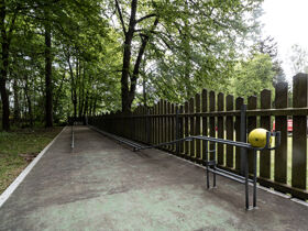 Weihnachtliche Gans lecker! Romantische Advents- Tage im Harz 