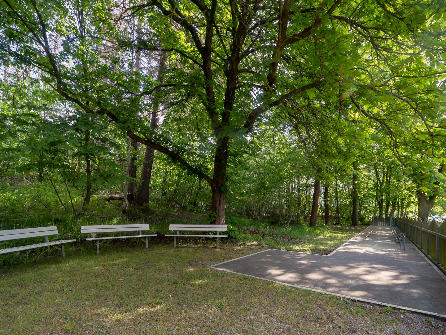 Erlebnisurlaub im Naturpark Harz - 7 Tage 