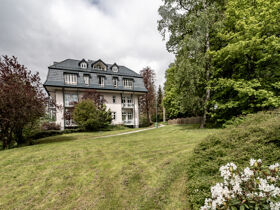 Weihnachtliche Gans lecker! Romantische Advents- Tage im Harz 