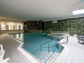 Weihnachtliche Gans lecker! Romantische Advents- Tage im Harz 