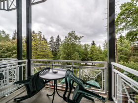 Weihnachtliche Gans lecker! Romantische Advents- Tage im Harz 