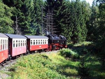 10% Rabatt- Familien Auszeit im Harz - 3 Urlaubstage genießen inkl. Halbpension 