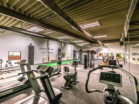 Hot Race - Nervenkitzel auf 4 Rädern - ab 10 Personen