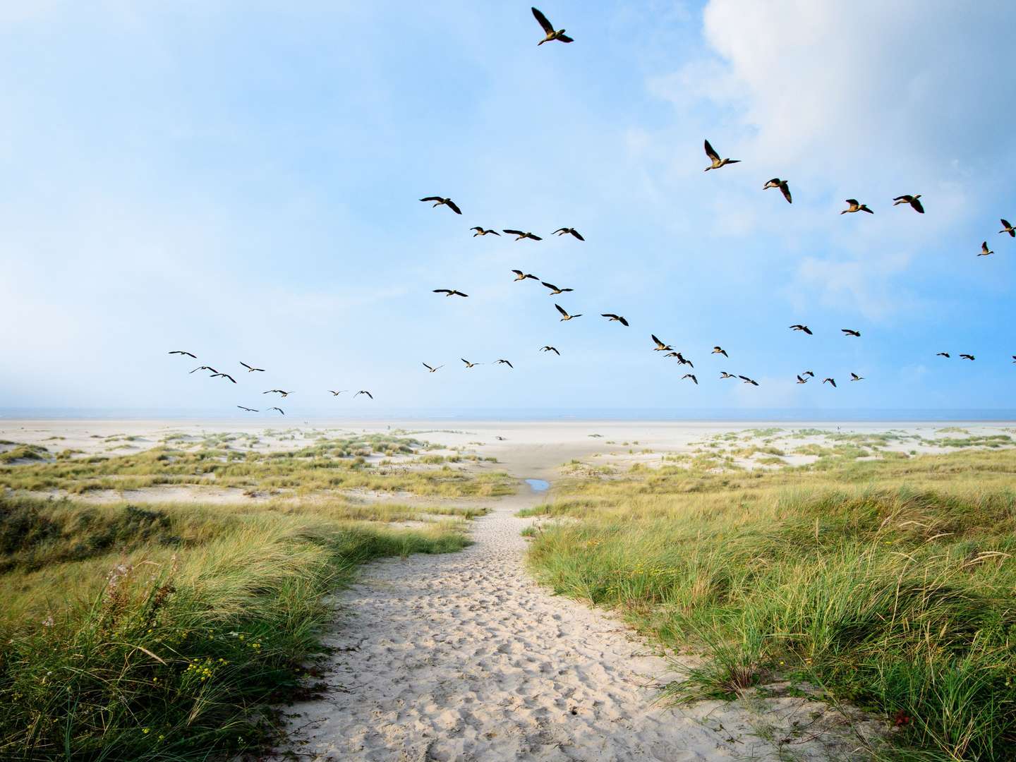 moin an der Nordsee - 5 Tage in Ostfriesland inkl. Abendessen  