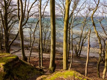 November auf Rügen im Binzer Hof