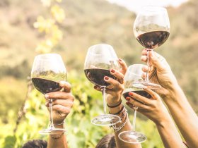 4 Kennenlerntage an der Mosel inkl. Wein & Gutschein Schiffsrundfahrt