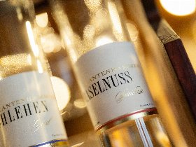 1 Woche Familienauszeit inkl. Sauerland SommerCard | bis zu 2 Kinder inklusive