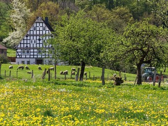 Pfingsten im Sauerland - Das lange Wochenende nutzen!