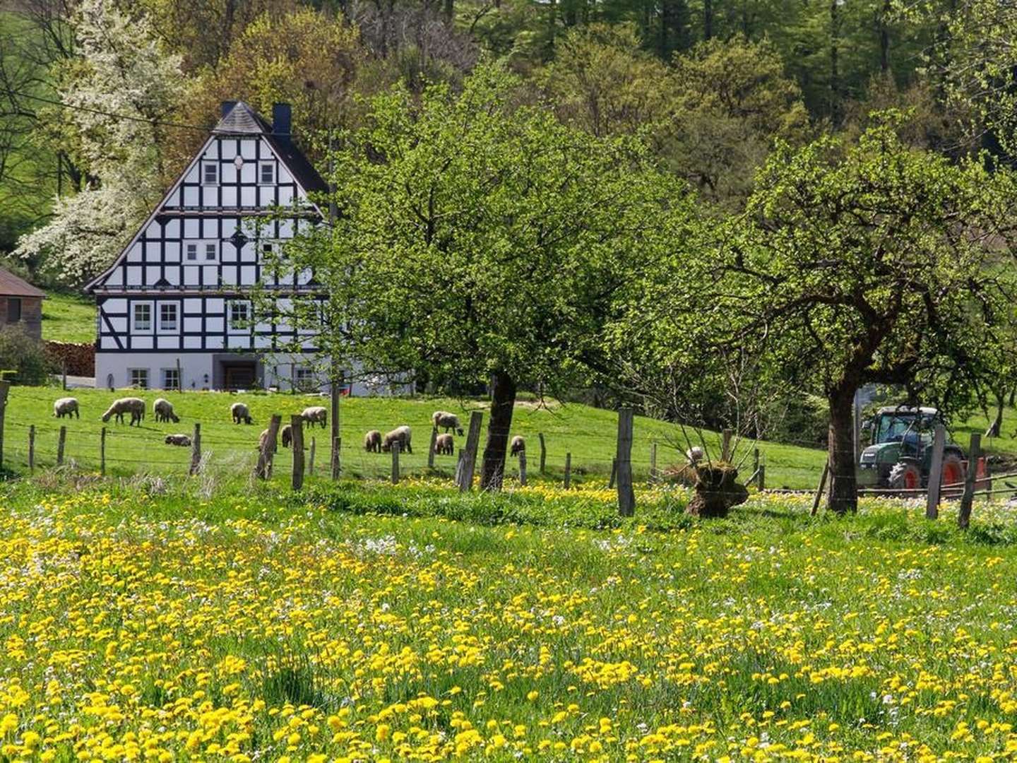 Feiertage - Freie Tage - Wandern und Freie Zeit