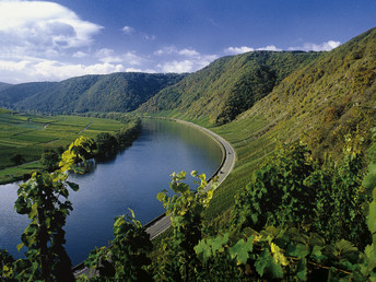 Kurzurlaub beim Winzer an der Mosel inkl. Gästeticket und Weinprobe