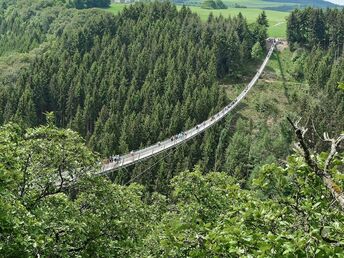 Urlaub beim Winzer an der Mosel 2