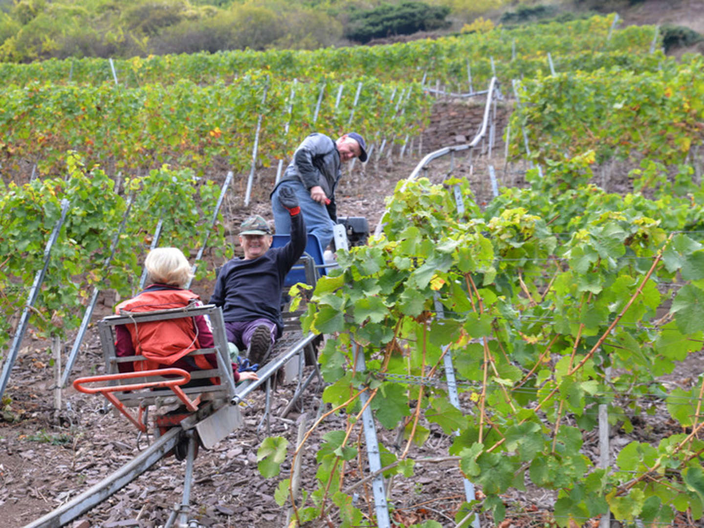 Kurzurlaub beim Winzer an der Mosel inkl. Gästeticket und Weinprobe 2