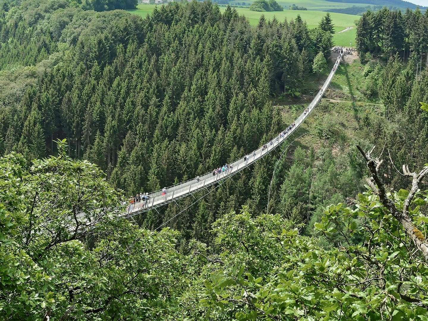 Kurzurlaub beim Winzer an der Mosel inkl. Gästeticket und Weinprobe