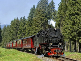 6 Tage Natur pur im Oberharz inkl. Bahnfahrt auf den Brocken & HP - Ferienwohnung  