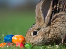 Ostern im Harz erleben - 5 Tage Auszeit  inkl. Halbpension und  Bahnfahrt auf den Brocken 