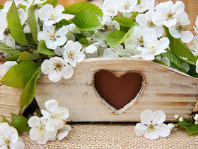 Bettgeflüster am Hirschenstein