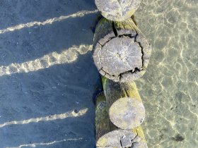 feels Winter Wunderland