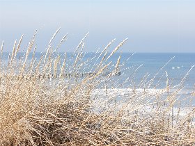 feels Winter Wunderland