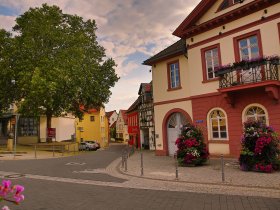 Vino Tage in Rheinhessen inkl. Weinverkostung