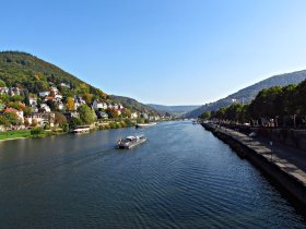 Vino Tage in Rheinhessen inkl. Weinverkostung